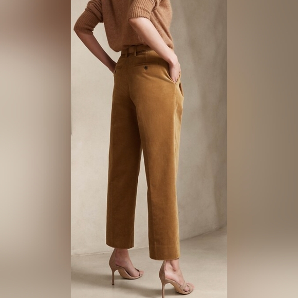 Banana Republic Rivoli Pleated Corduroy Pant - Picture 5 of 5